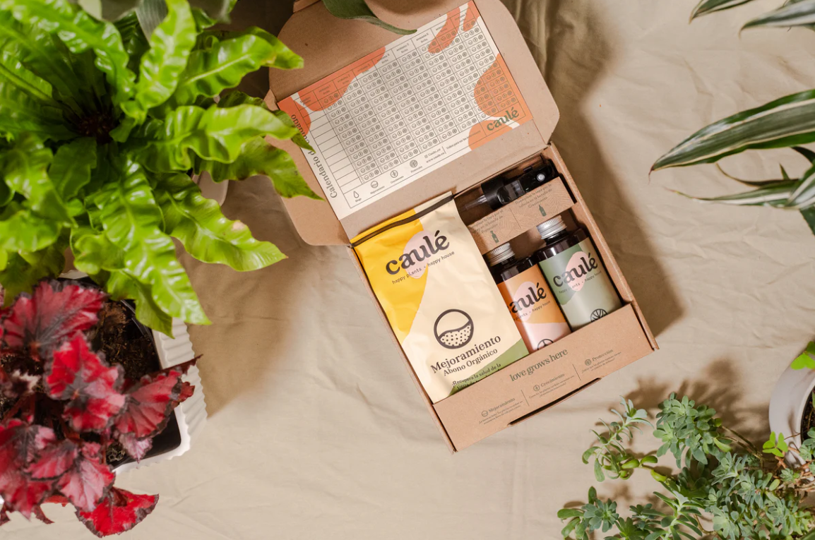 Kit Caulé - cuidado de plantas